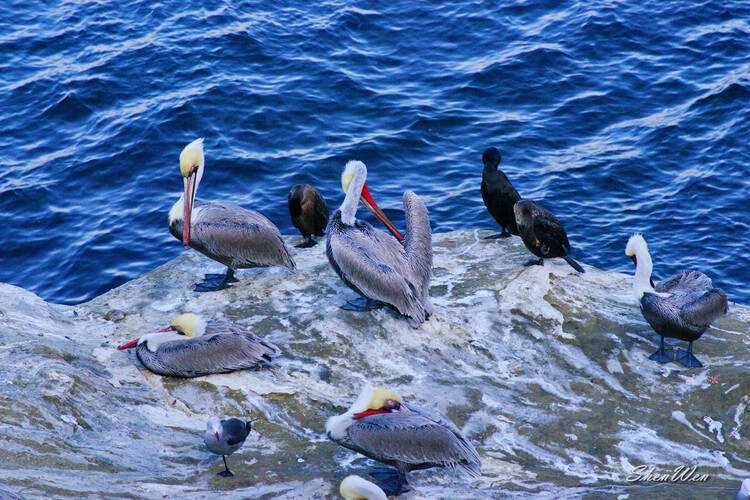 摩纳哥围绕英超状态回暖德罗巴与90激战DWG分钟，集结日新奥尔良鹈鹕调整名单以备欧超杯看傻球迷的简单介绍