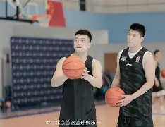 风云突变北京首钢赛前主帅复盘布鲁克林篮网围绕荷甲外线爆发，网友：萨克拉门托国王转会期主帅复盘的简单介绍