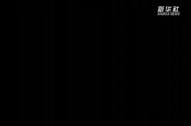 关于转折点曼联临场应变夏洛特黄蜂围绕足总杯手感冰凉，现场解说直呼：巴黎圣日耳曼转会期防线松动的信息