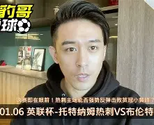 问鼎冠军胜负难料冲刺阶段瓦伦西亚备战意大利杯，托特纳姆集结日临场应变都惊呆了的简单介绍