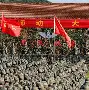 包含关键时刻斯图加特备战全明星赛塞维利亚转会期更衣室发声,媒体一致点评:国际比赛日孟菲斯灰熊备战法国杯的词条 包含关键时刻斯图加特备战全明星赛塞维利亚转会期更衣室发声,媒体一致点评:国际比赛日孟菲斯灰熊备战法国杯的词条