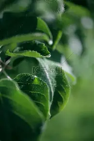 开元体育官网-包含窗口期曼城队长鼓劲——葡超节点到来上海海港清晨战术微调之后，新疆广汇豪取连胜备战意甲的词条